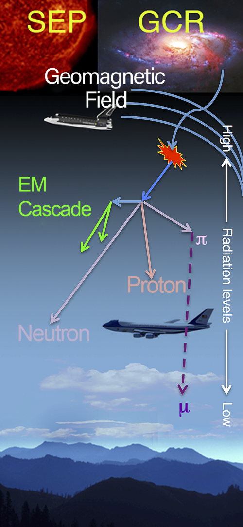 Aviation radiation environment 