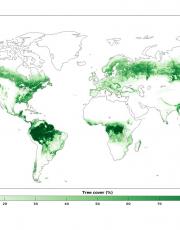 Verspreiding van boombedekking wereldkaart