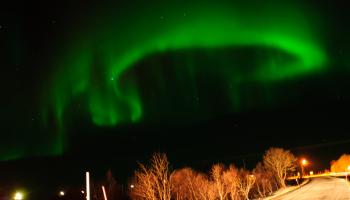 Une aurore aux îles Lofoten norvégiennes. Crédit: Jeroen van Gent.