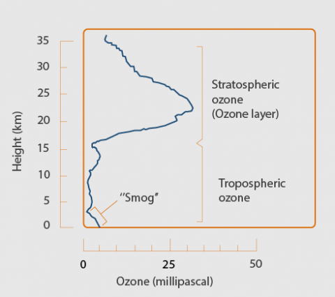 troposferisch stratosferisch ozon procent kilometer