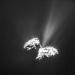 Comets introduction to a very peculiar spectacle